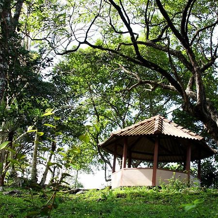 Rajanawa Resort Ratnapura Extérieur photo